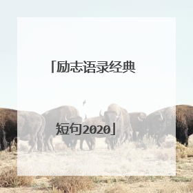 励志语录经典短句2020