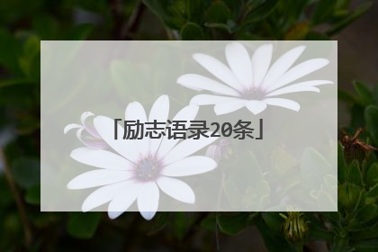 励志语录20条