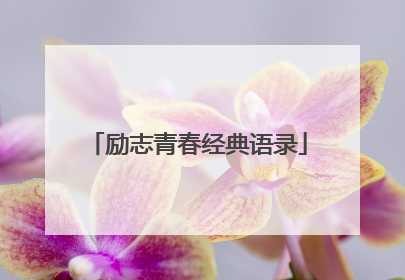 励志青春经典语录