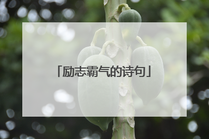 励志霸气的诗句