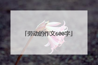劳动的作文600字