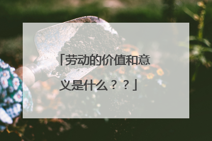 劳动的价值和意义是什么??