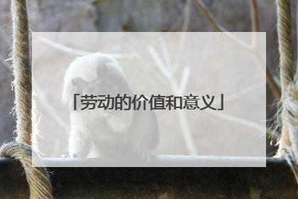 劳动的价值和意义