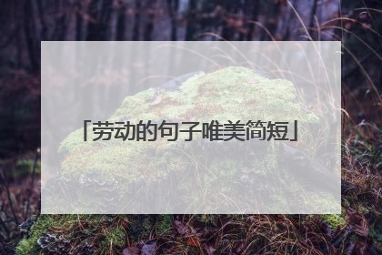 劳动的句子唯美简短