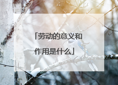 劳动的意义和作用是什么
