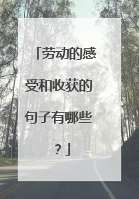 劳动的感受和收获的句子有哪些？