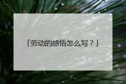 劳动的感悟怎么写?