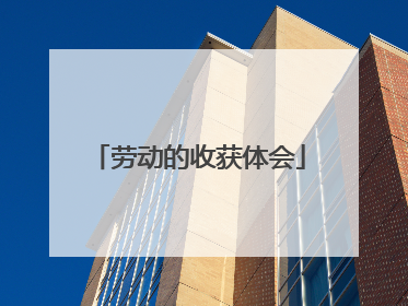 劳动的收获体会