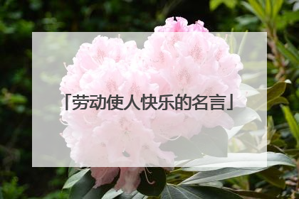 劳动使人快乐的名言