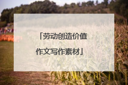 劳动创造价值作文写作素材
