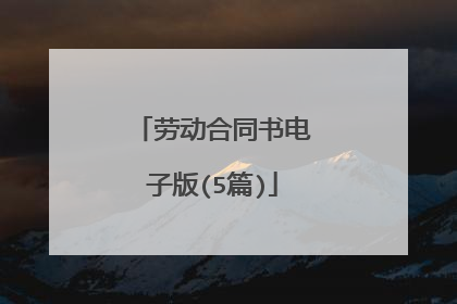 劳动合同书电子版(5篇)