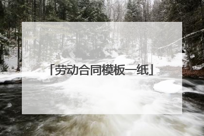 劳动合同模板一纸