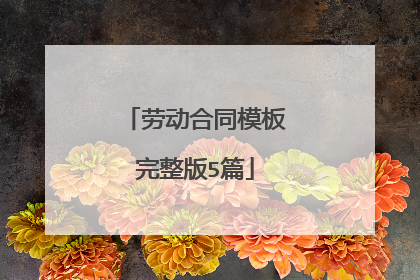 劳动合同模板完整版5篇