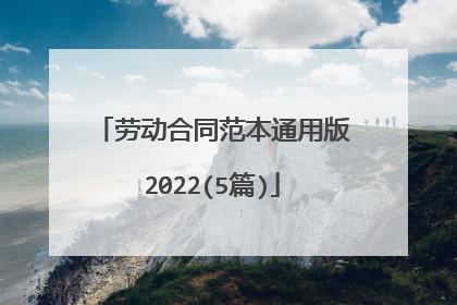 劳动合同范本通用版2022(5篇)