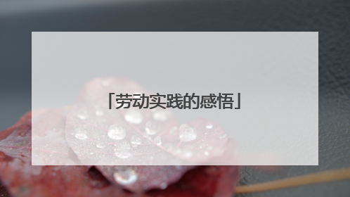 劳动实践的感悟