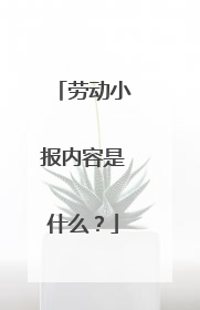 劳动小报内容是什么?