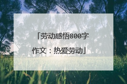 劳动感悟800字作文:热爱劳动