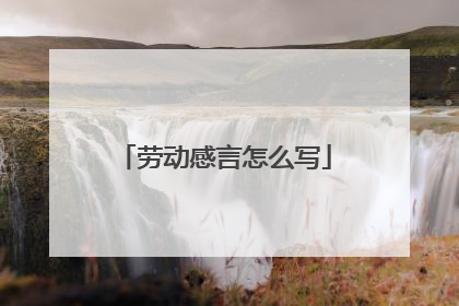 劳动感言怎么写