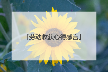 劳动收获心得感言