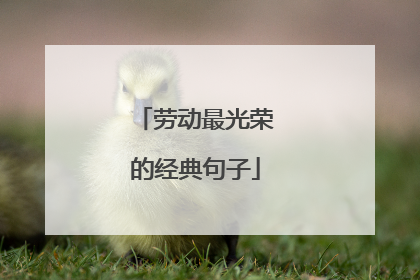 劳动最光荣的经典句子