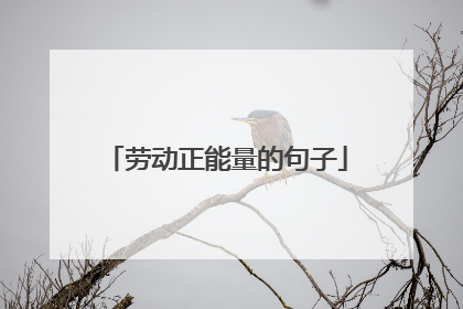 劳动正能量的句子