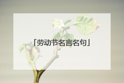 劳动节名言名句