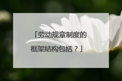 劳动规章制度的框架结构包括？
