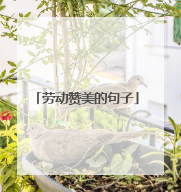 劳动赞美的句子