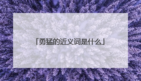 勇猛的近义词是什么