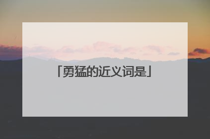 勇猛的近义词是