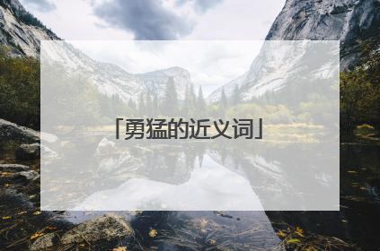 勇猛的近义词