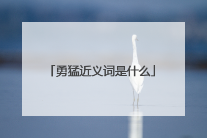勇猛近义词是什么