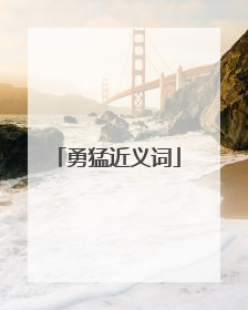 勇猛近义词