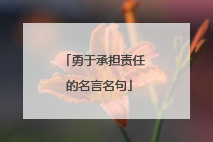 勇于承担责任的名言名句