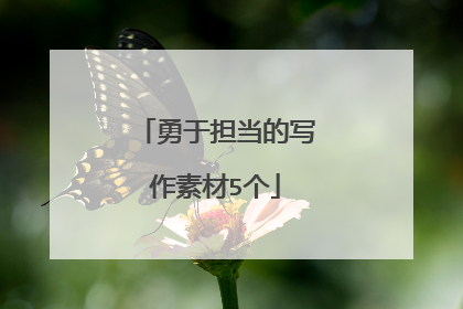 勇于担当的写作素材5个