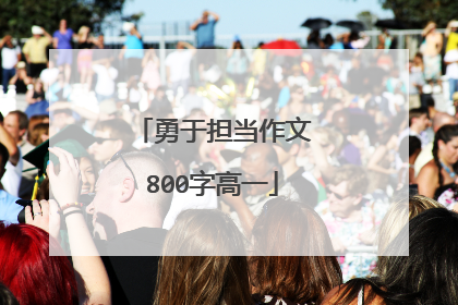勇于担当作文800字高一