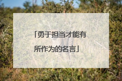 勇于担当才能有所作为的名言