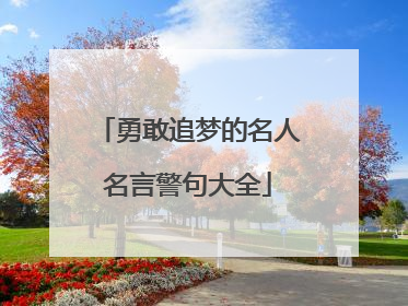 勇敢追梦的名人名言警句大全