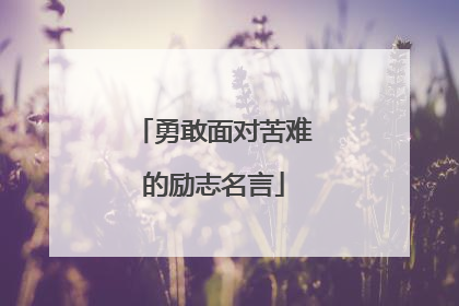 勇敢面对苦难的励志名言