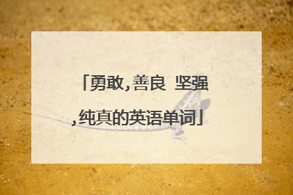 勇敢,善良 坚强,纯真的英语单词