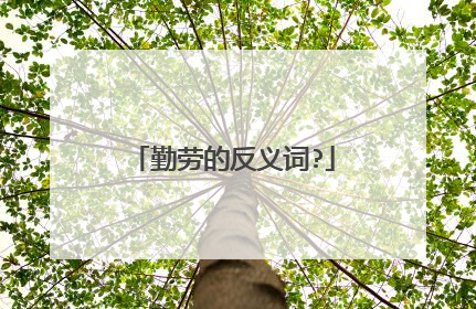 勤劳的反义词?