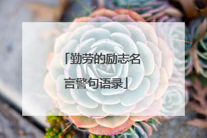 勤劳的励志名言警句语录