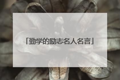 勤学的励志名人名言