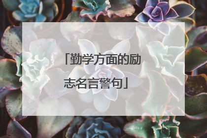 勤学方面的励志名言警句