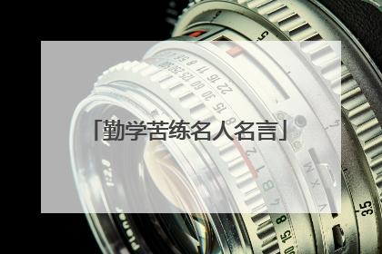 勤学苦练名人名言