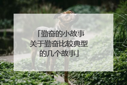 勤奋的小故事 关于勤奋比较典型的几个故事