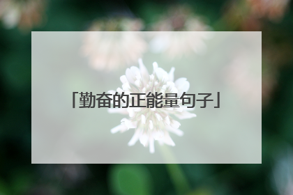 勤奋的正能量句子