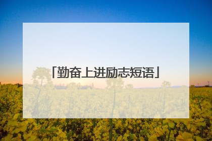 勤奋上进励志短语