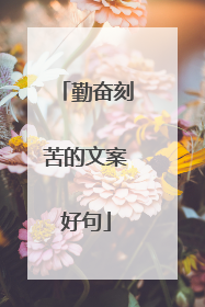 勤奋刻苦的文案好句