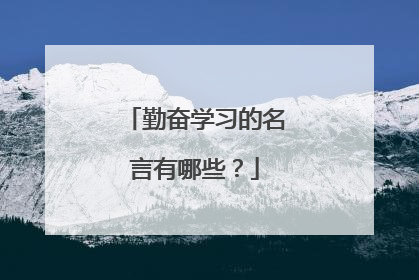 勤奋学习的名言有哪些?